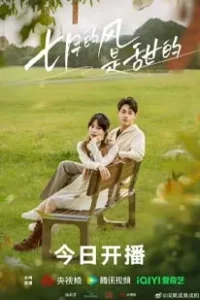 Love Blossoms with the Wind (2025)